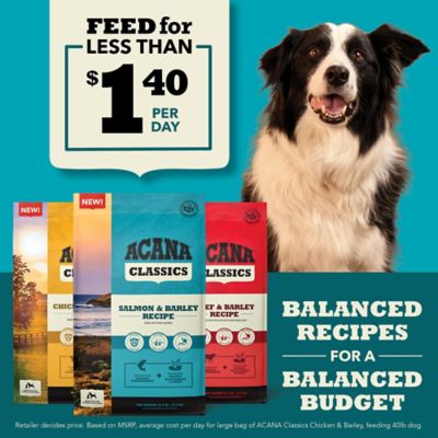 Image showing  Classics All Life Stages Chicken and Barley Recipe Dry Dog Food