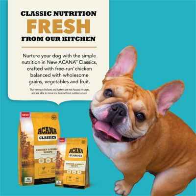 Image showing 5 th ACANA Classics All Life Stages Chicken and Barley Recipe Dry Dog Food