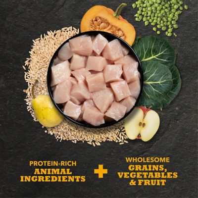 Image showing  Classics All Life Stages Chicken and Barley Recipe Dry Dog Food