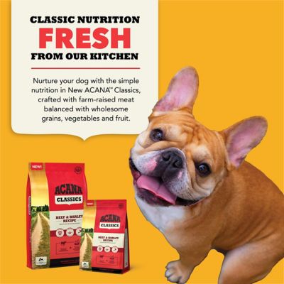 Image showing 5 th ACANA Classics All Life Stages Beef and Barley Recipe Dry Dog Food
