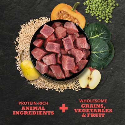 Image showing  Classics All Life Stages Beef and Barley Recipe Dry Dog Food
