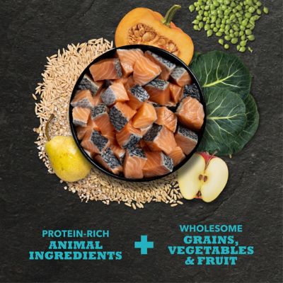 Image showing  Classics All Life Stages Salmon and Barley Recipe Dry Dog Food