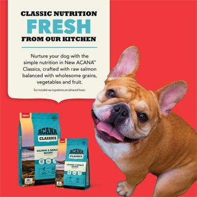 Image showing 5 th ACANA Classics All Life Stages Salmon and Barley Recipe Dry Dog Food