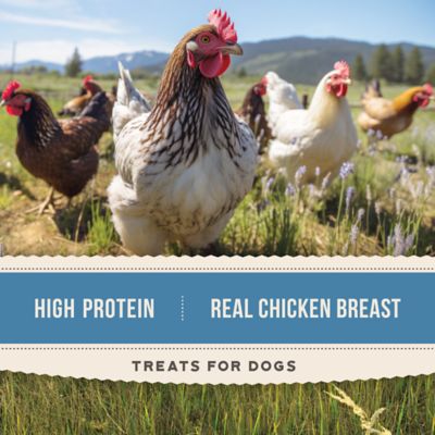 Image showing  Chicken Jerky High-Protein Dog Treats, 24 oz.