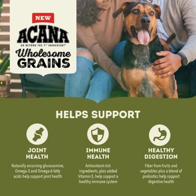 Image showing  Wholesome Grains Large Breed Adult Recipe Dry Dog Food