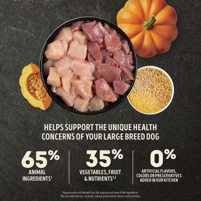 Image showing  Wholesome Grains Large Breed Adult Recipe Dry Dog Food