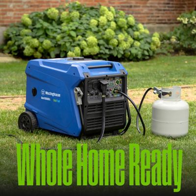 Image showing  11,000/9,000-Watt Dual-Fuel Portable Inverter Generator, Gas/Propane CO Sensor