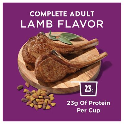 Image showing  Complete Adult Lamb Formula Dry Dog Food Kibble