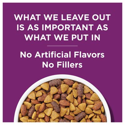 Image showing  Complete Adult Lamb Formula Dry Dog Food Kibble