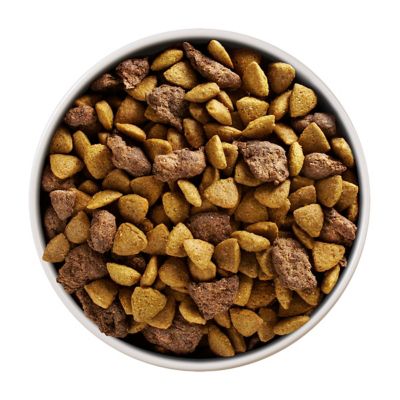 Image showing  Plus Adult Small Breed Lamb and Rice Formula Dry Dog Food