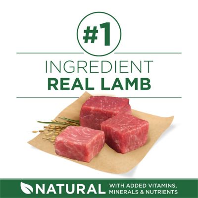 Image showing  Plus Adult Small Breed Lamb and Rice Formula Dry Dog Food