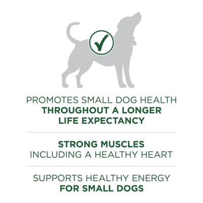 Image showing  Plus Adult Small Breed Lamb and Rice Formula Dry Dog Food