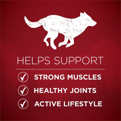 Image showing  True Instinct All Life Stages Lean Muscle Support Real Beef Formula Natural Dry Dog Food, 27.5 lb. Bag