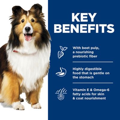 Image showing  Adult Sensitive Stomach & Skin Tender Chicken & Vegetable Stew Wet Dog Food