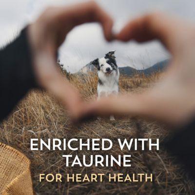 Image showing 5 th Wholesomes Adult Grain-Free Lamb Meal and Potatoes Recipe Dry Dog Food, 35 lb. Bag