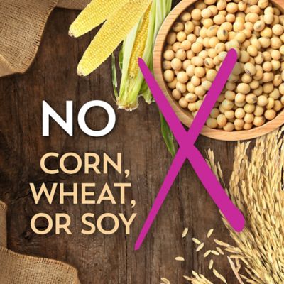 Image showing 6 th Wholesomes Adult Grain-Free Lamb Meal and Potatoes Recipe Dry Dog Food, 35 lb. Bag