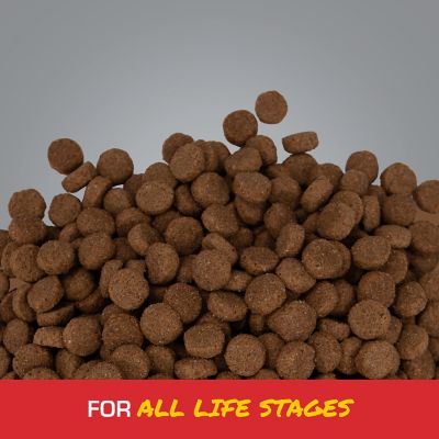 Image showing  Extreme Energy All Life Stages Chicken Recipe Dry Dog Food, 40 lb. Bag