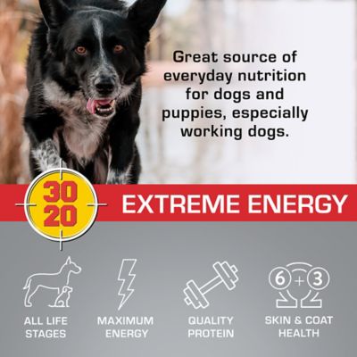 Image showing  Extreme Energy All Life Stages Chicken Recipe Dry Dog Food, 40 lb. Bag