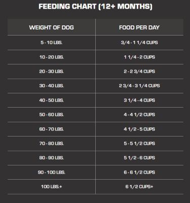 Image showing  Essentials Adult Meat Meal Recipe Dry Dog Food, 40 lb. Bag