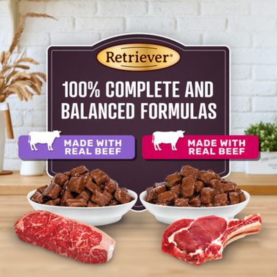 Image showing  Adult Cuts in Gravy New York Strip and Ribeye Flavor Variety Pack Wet Dog Food, 13.2 oz., 24 pk.