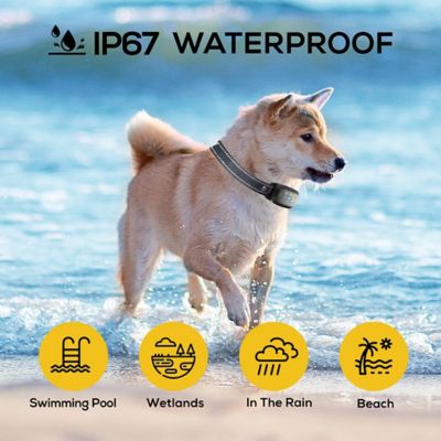 Image showing Rechargeable Dog Bark Collar