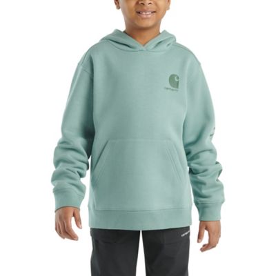 Carhartt Boys' Long-Sleeve Graphic Sweatshirt, CA6581-GH5