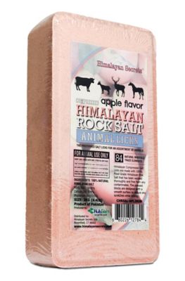 Himalayan Secrets Compressed Himalayan Salt Animal Lick Apple Flavor, 4.4 lb.