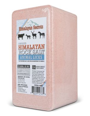 Image showing  Compressed Himalayan Salt Animal Lick, 8.8 lb.