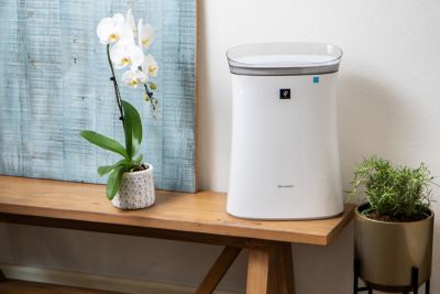 Image showing 5 th Sharp True HEPA Air Purifier with Plasmacluster Ion Technology for Medium-Sized Rooms, 259 sq. ft.