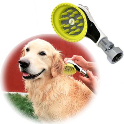 Dog pool tractor supply best sale