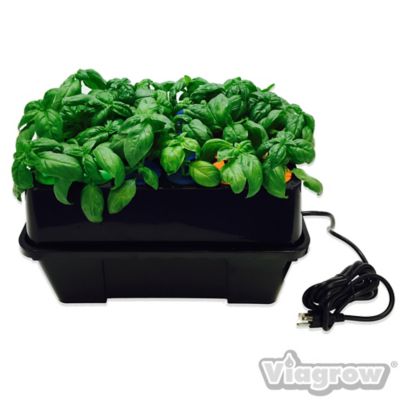Image showing  24-Site Clone Machine Aeroponic Hydroponic System