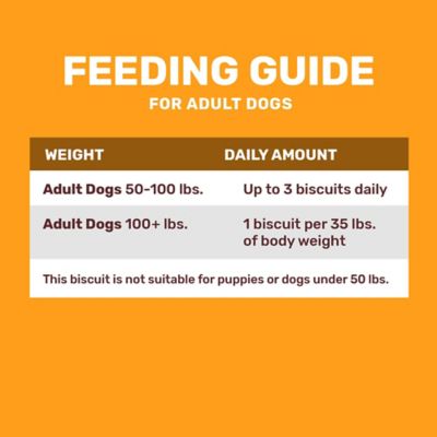 Image showing  Large Peanut Butter Crunchy Dog Biscuits, 15 lb.