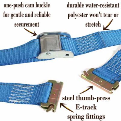 Image showing  E-Track Cam Buckle Strap, 2 in. x 20 ft., Blue