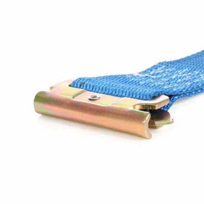 Image showing 8 th DC Cargo E-Track Cam Buckle Strap, 2 in. x 20 ft., Blue