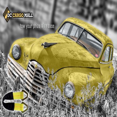 Image showing 5 th DC Cargo 2 in. x 36 in. Axle Strap, 3,333 lb. Capacity