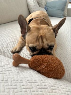 Image showing  Chicken Bone 2-in-1 Dog Toy