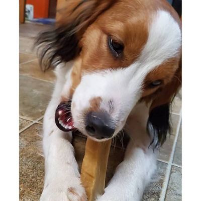 Image showing  Natural Yak Cheese Chew Bulk pk., YXB