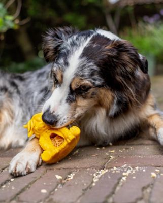 Image showing  Yak Puff & Play Dog Toy Interactive Nuggets Dispenser - Light to Light Moderate Chewers