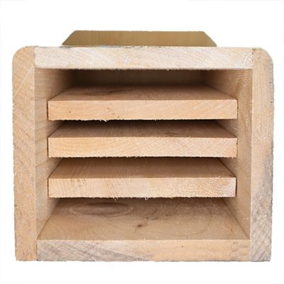 Image showing  Bat Condominium, 50 bats