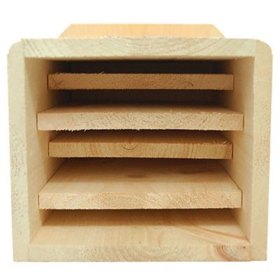 Image showing  Bat Mansion, 150 Bats