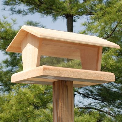 Coveside Hopper Bird Feeder