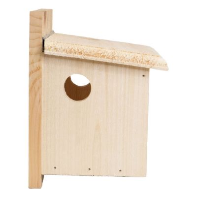 Image showing  Post-Mount Bluebird Feeder