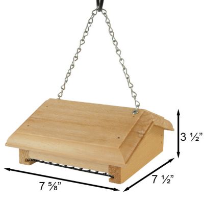 Image showing  Hanging Upside-Down Suet Feeder