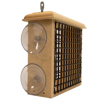 Image showing  Window Suet Feeder