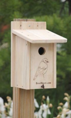 BestNest Seasonal Bluebird House