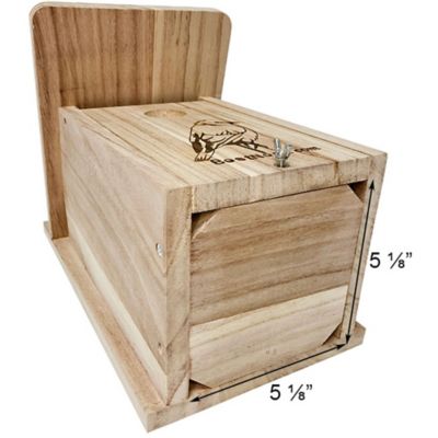 Image showing  Seasonal Bluebird House