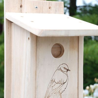 Image showing  Seasonal Bluebird House