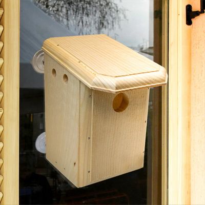 Coveside Window Nest Box