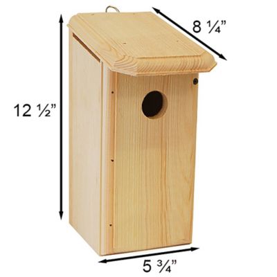 Image showing  Titmouse, Warbler & Tree Swallow Bird House