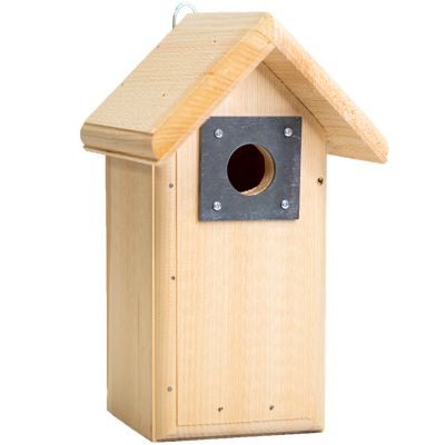 Coveside Backyard Bird House at Tractor Supply Co